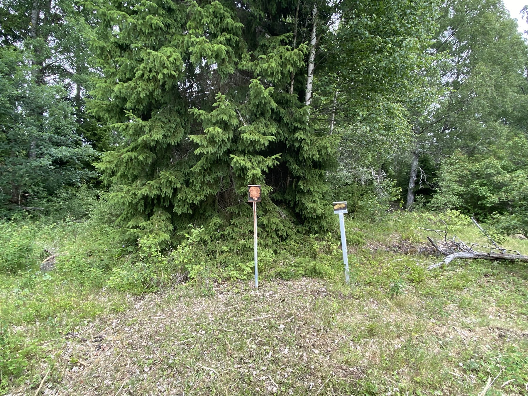 Lämning efter bostad