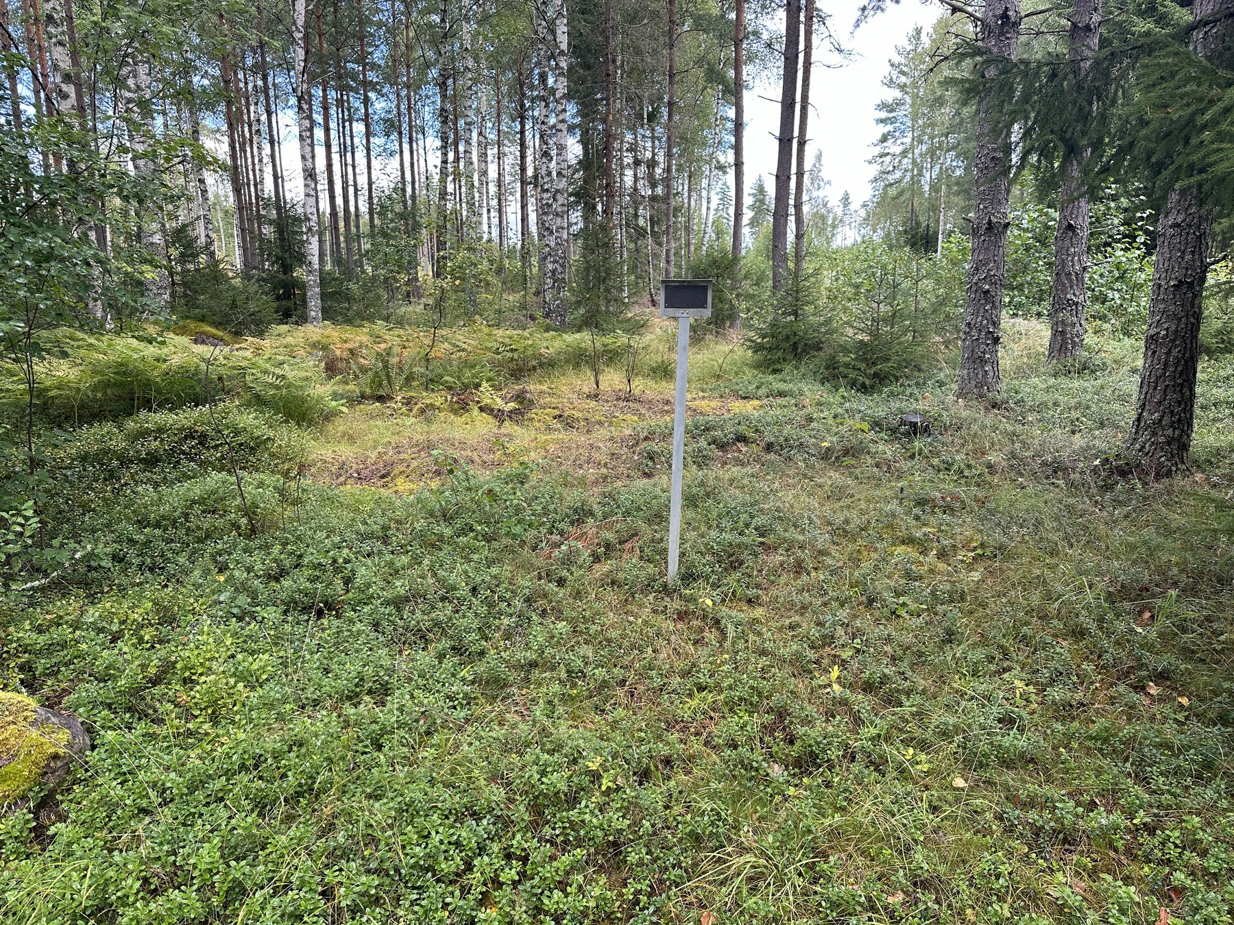Lämning efter bostad