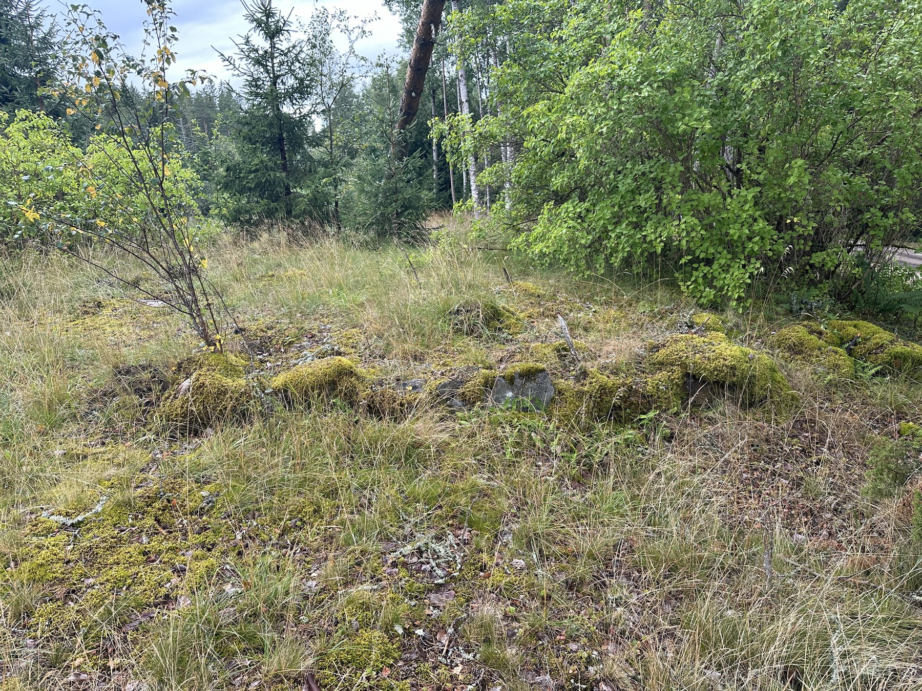 Lämning efter bostad
