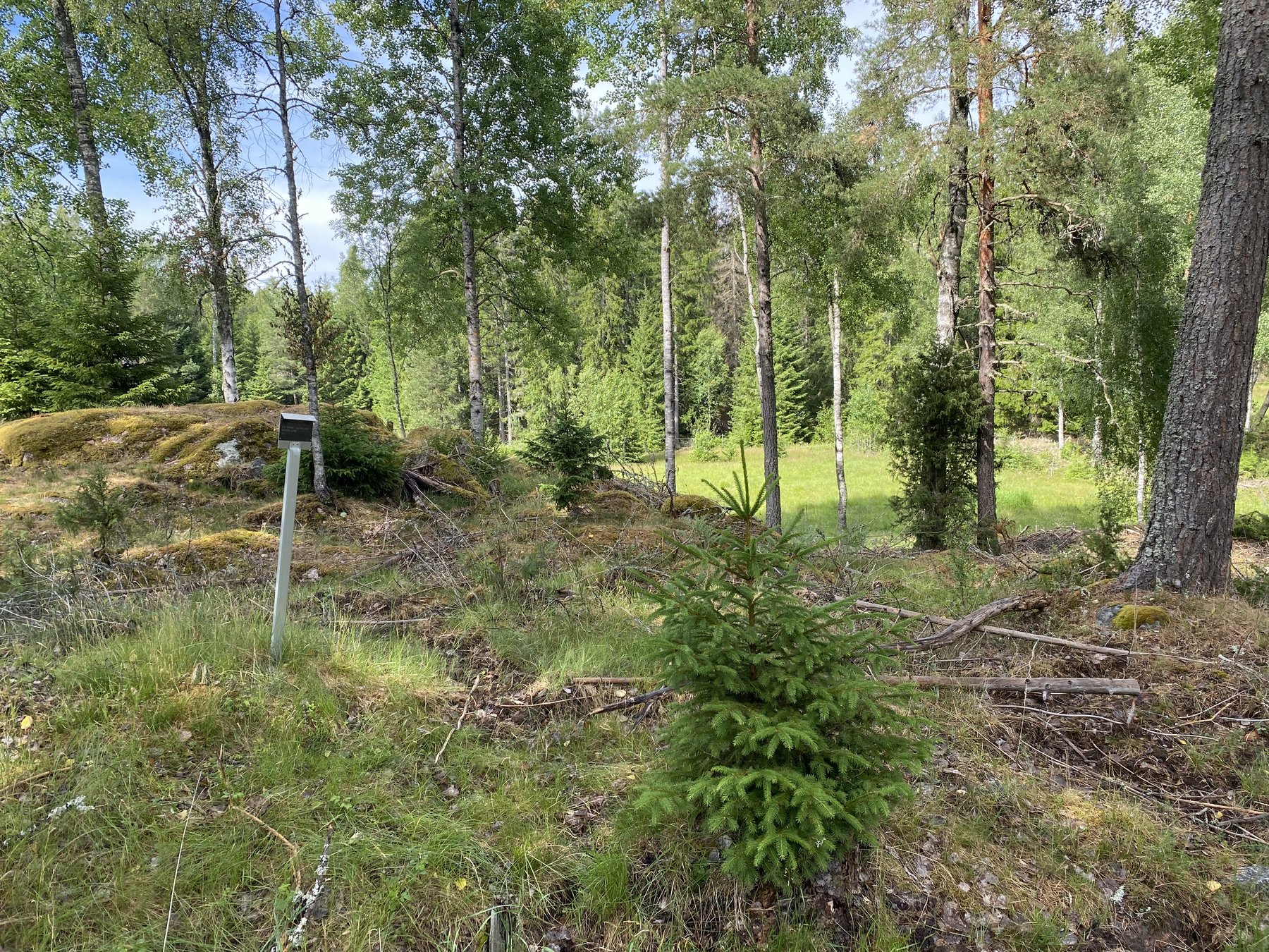 Lämning efter bostad