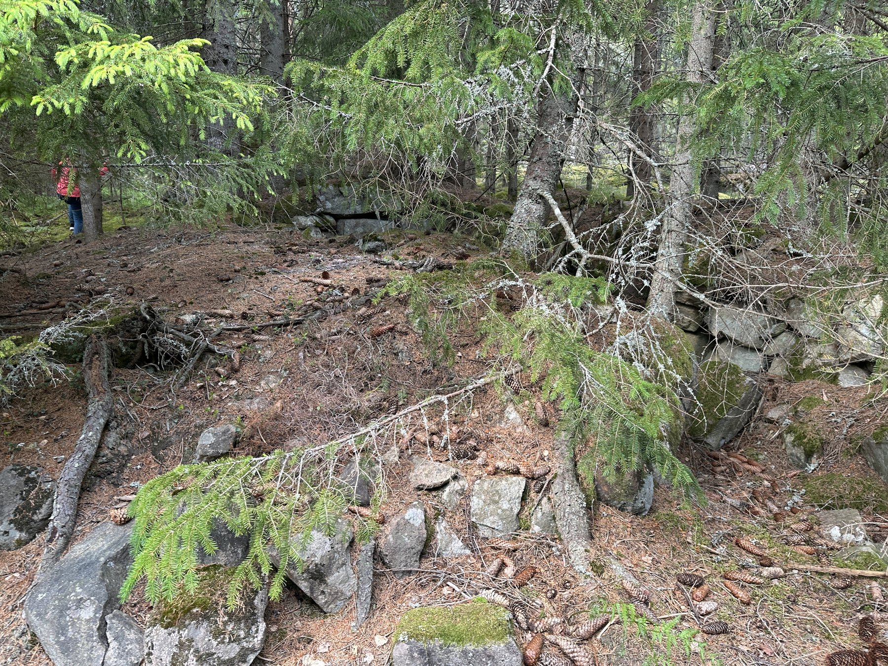 Lämning efter bostad, delvis jordkällare