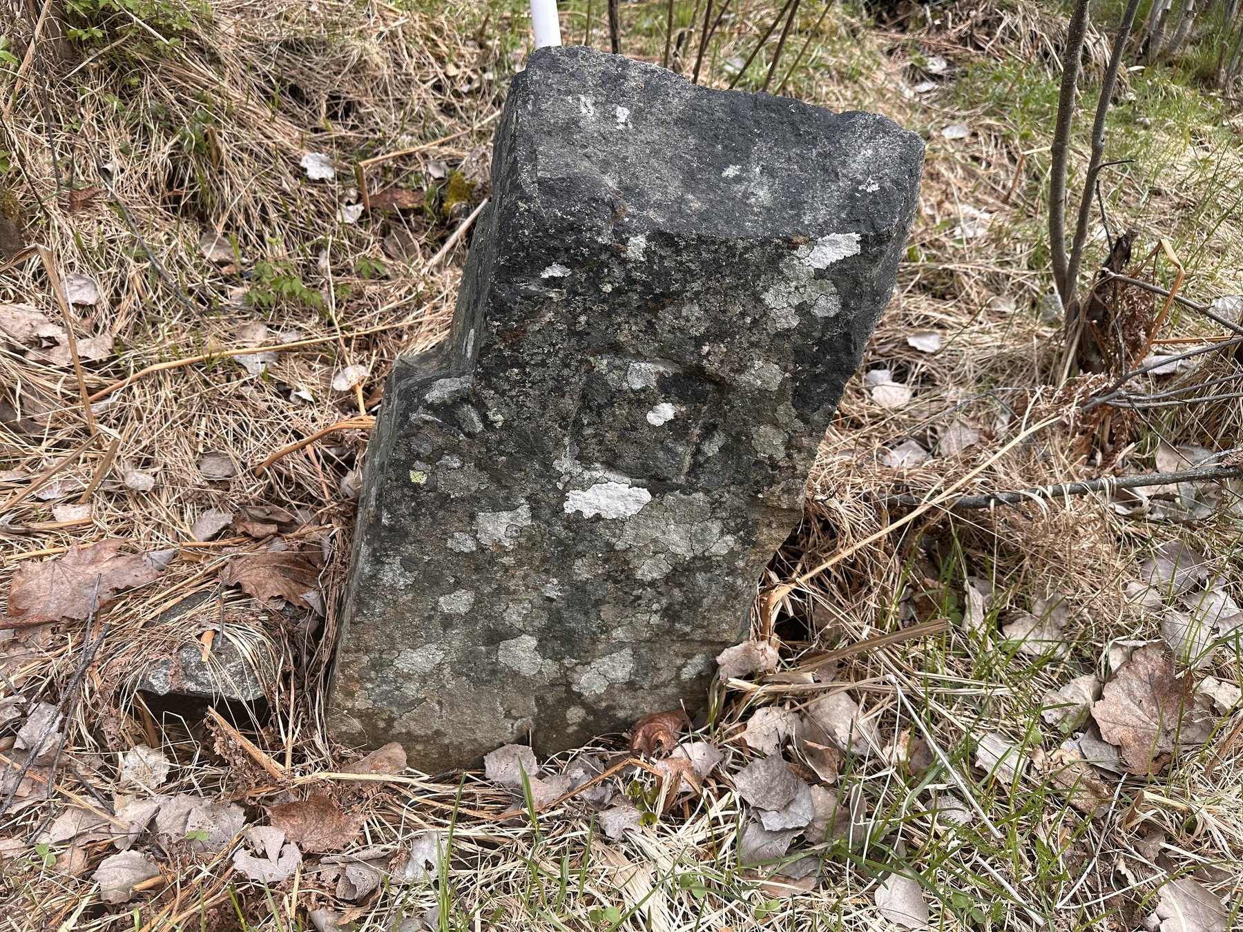 Gränsmärke mellan Björke och Gollbo