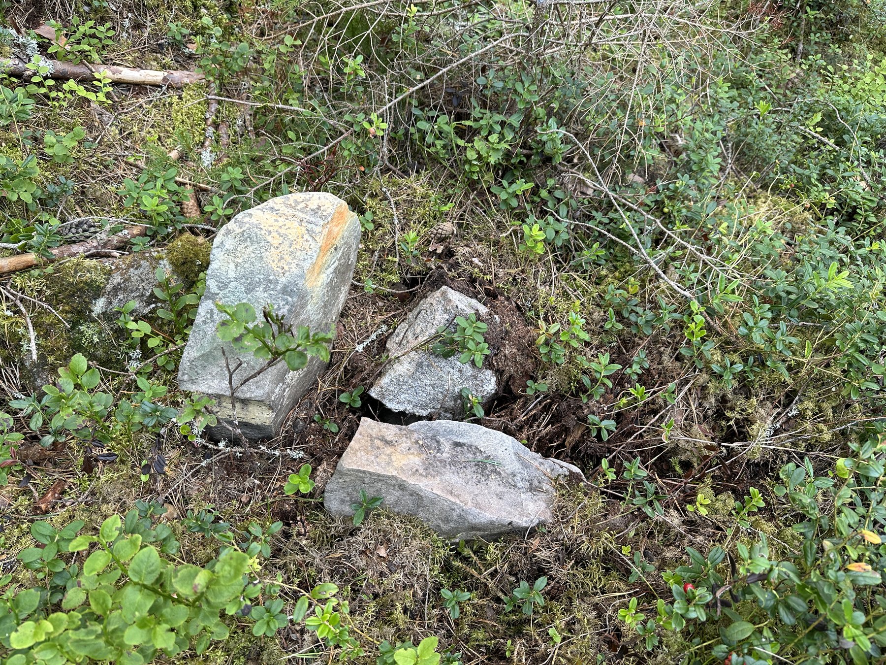 Gränsmärke mellan ägor inom Björke