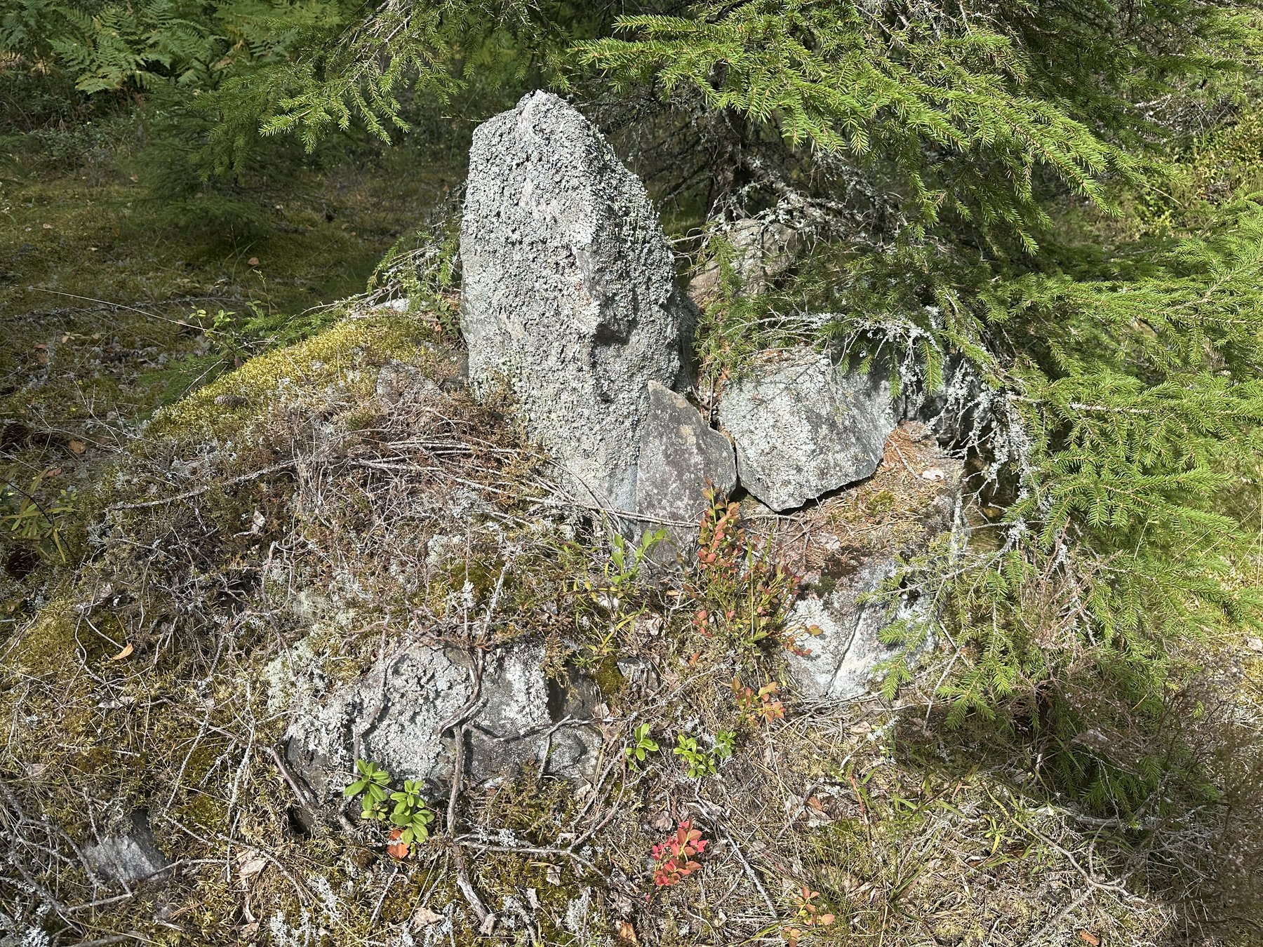 Gränsmärke vid elljusspåret i Igelfors