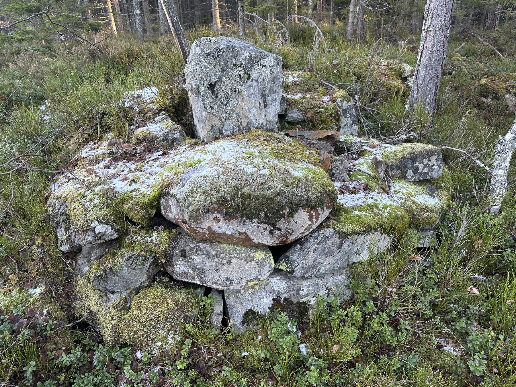 Gränsmärke mellan Björke och Algustorp