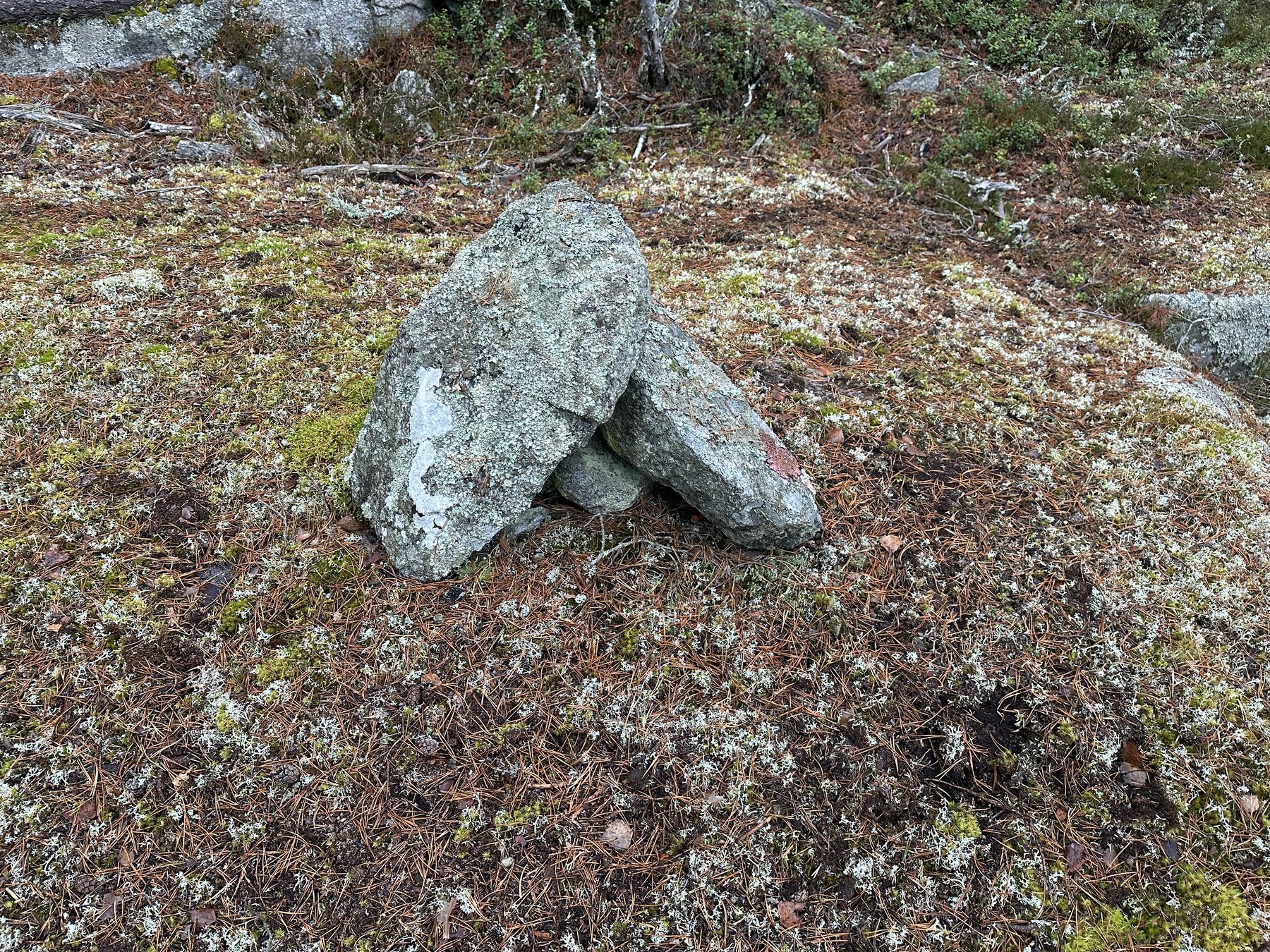 Gränsmärke mellan ägor inom Asketorp