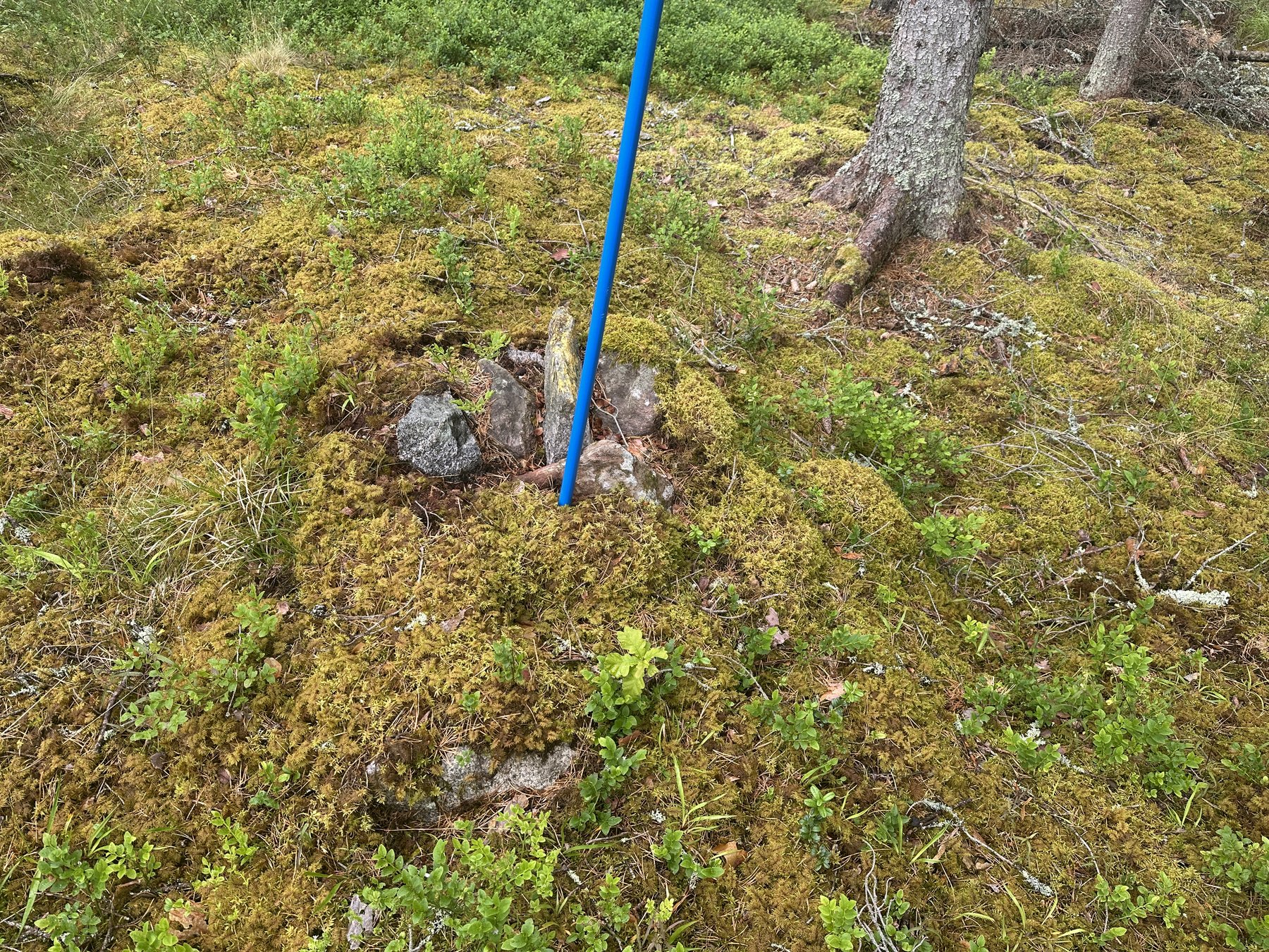 Ägogränsmärke mellan Börstorp och Algustorp