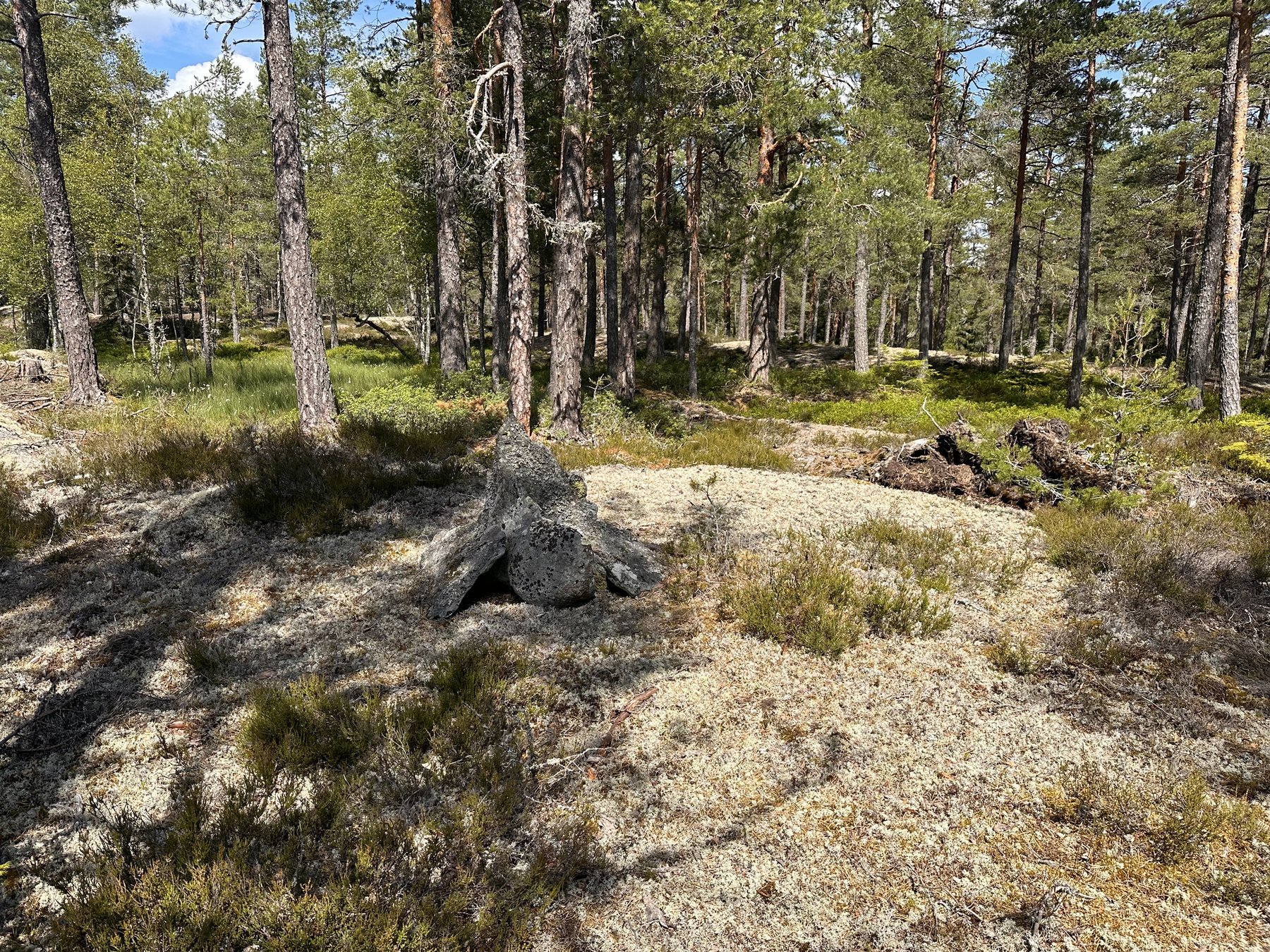 Gränsmarkering mellan ägor inom Ingestorp