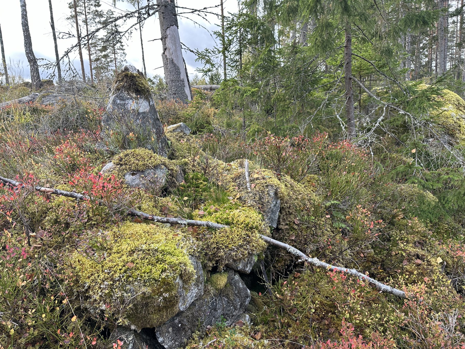 Gränsmärke vid Stafhällebacken