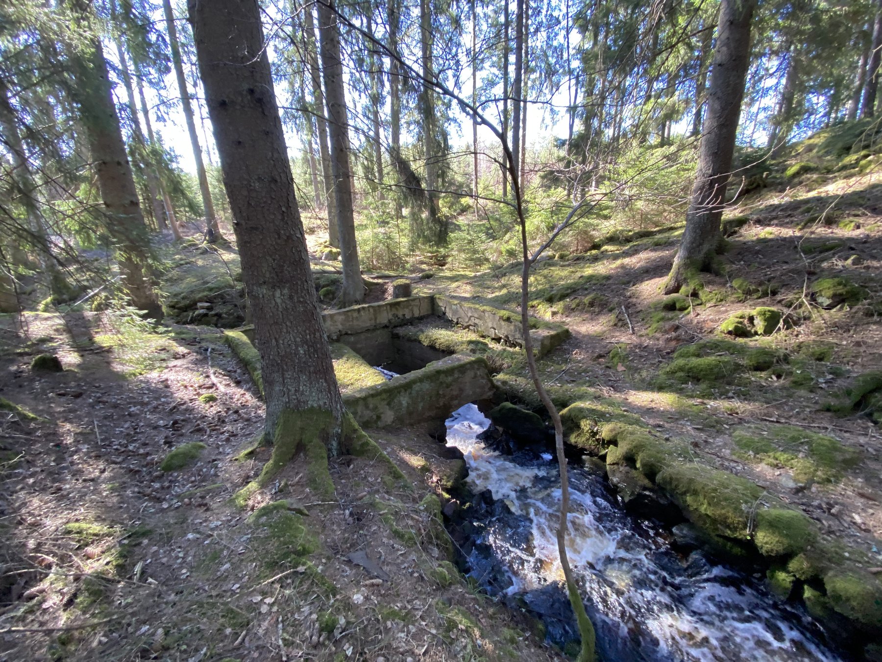 Lämning efter såg