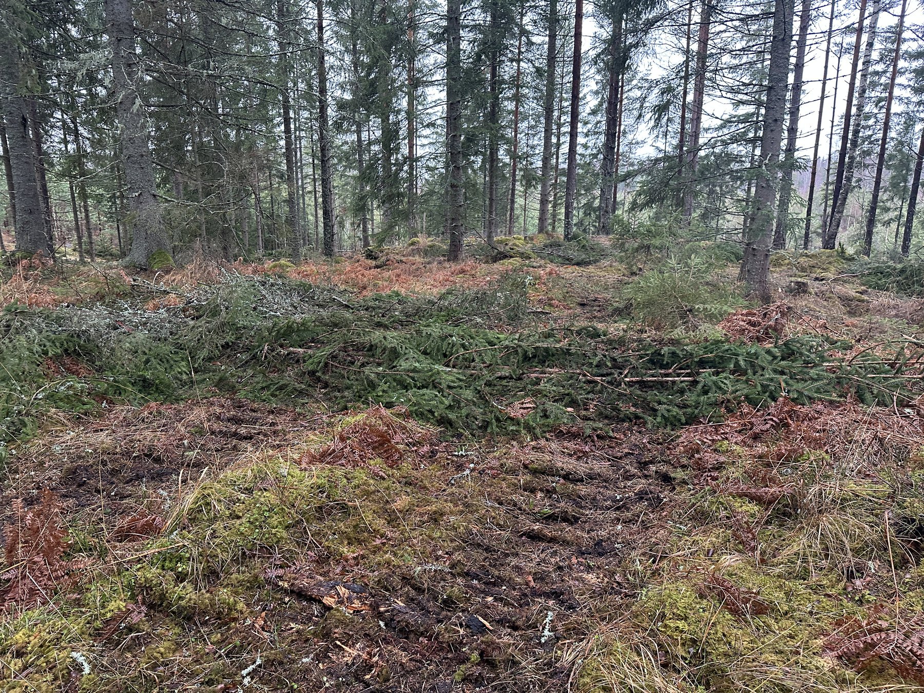 Genomkörd lämning efter resmila/kolbotten