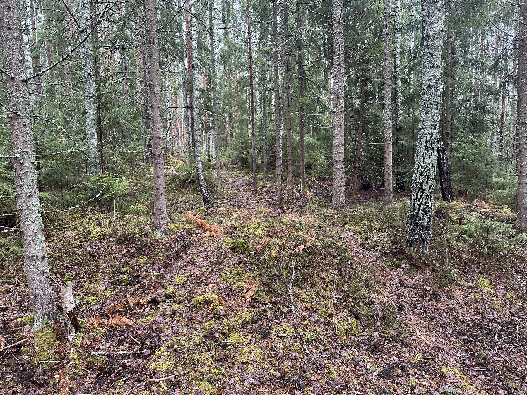 Lämning efter resmila/kolbotten