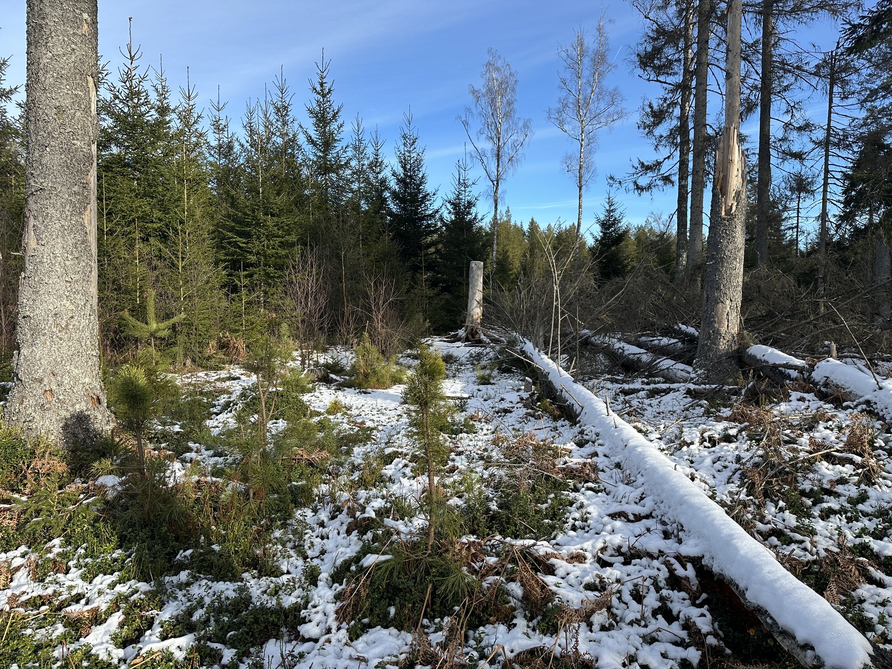 Lämning efter resmila/kolbotten