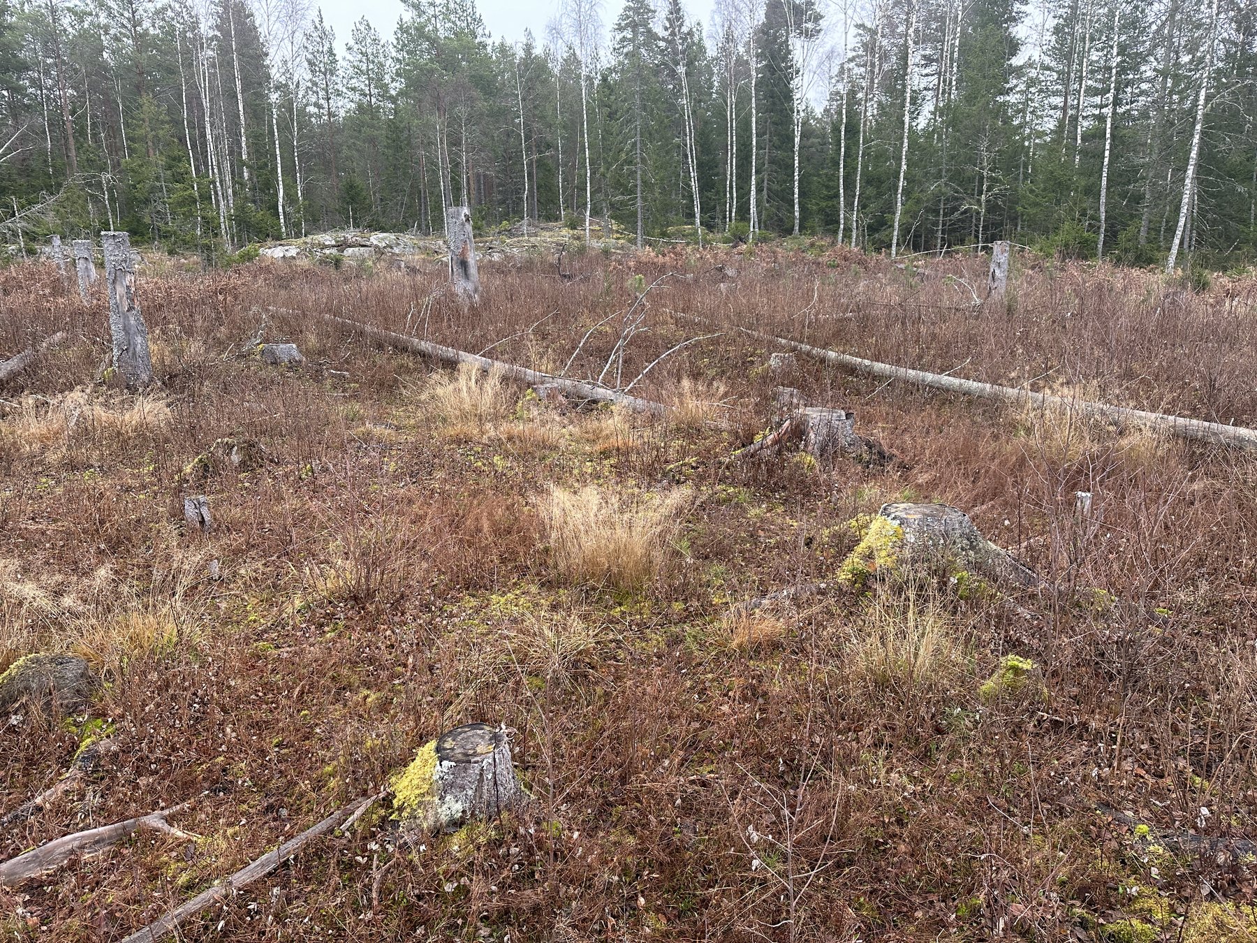 Lämning efter resmila/Kolbotten
