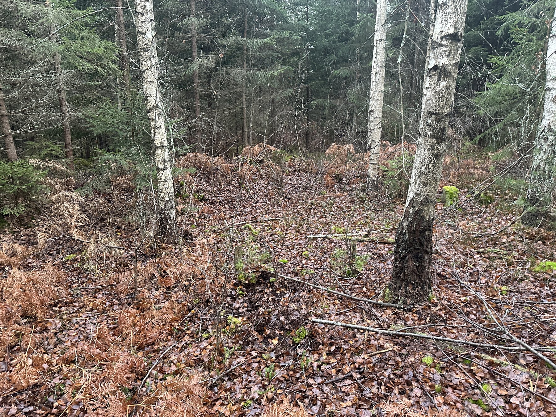 Lämning efter resmila