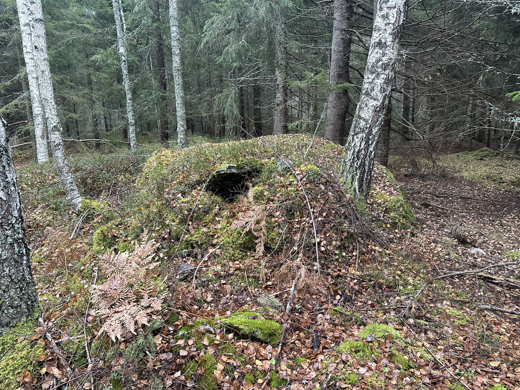 Lämning efter kolarkoja