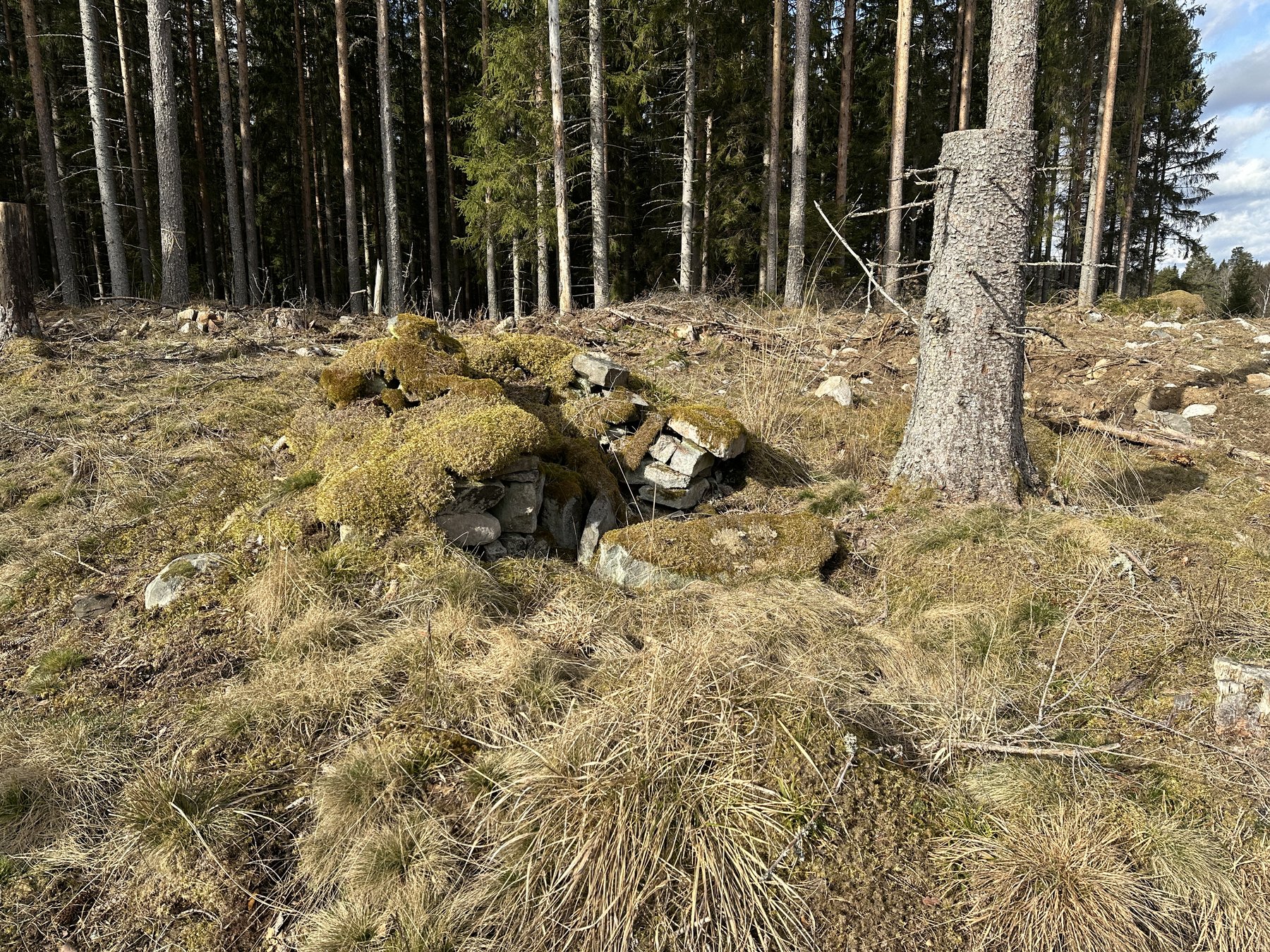 Lämning efter kolarkoja