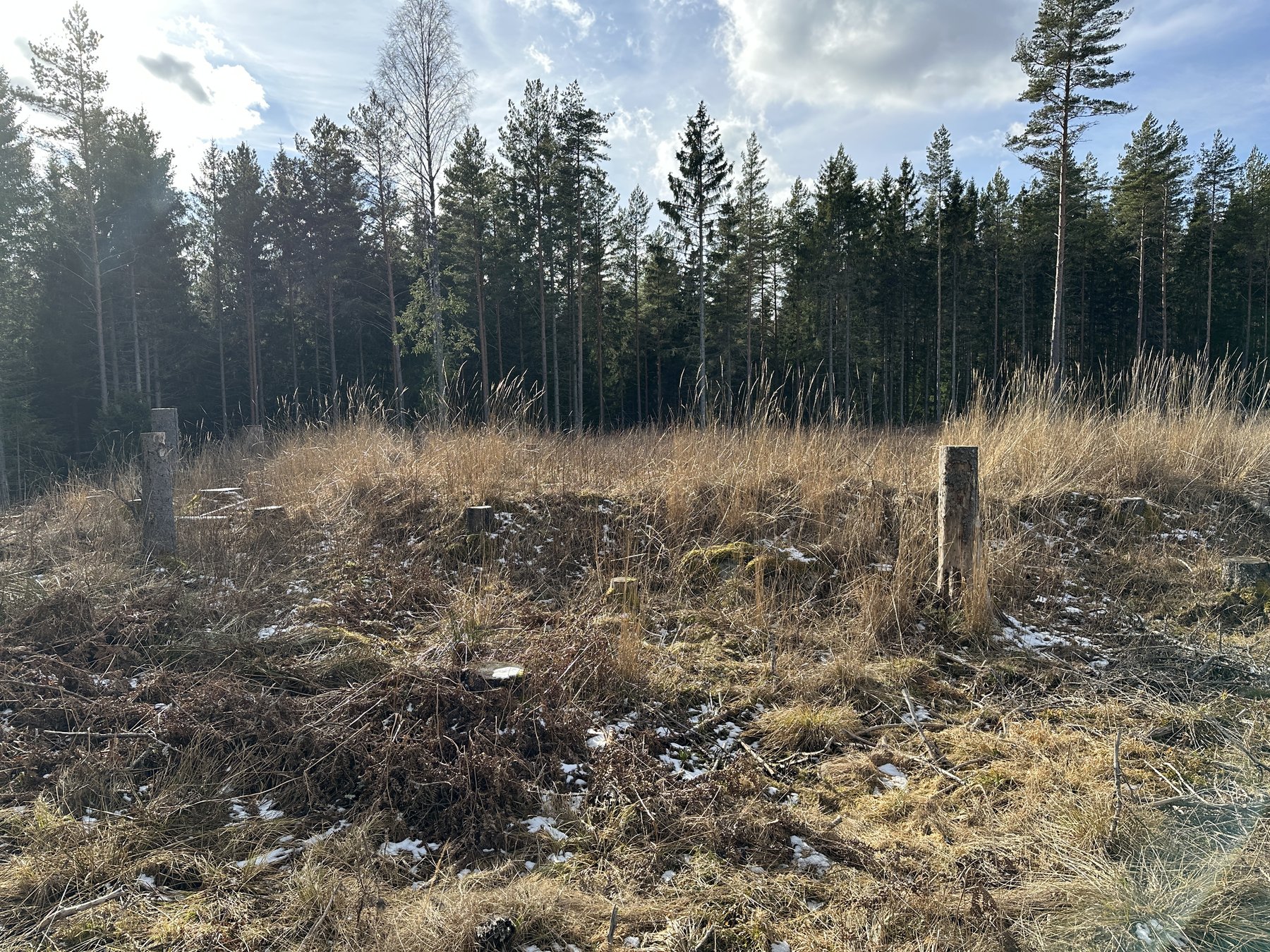 Lämning efter resmila eller möjlig tillfällig upplagsplats för kol