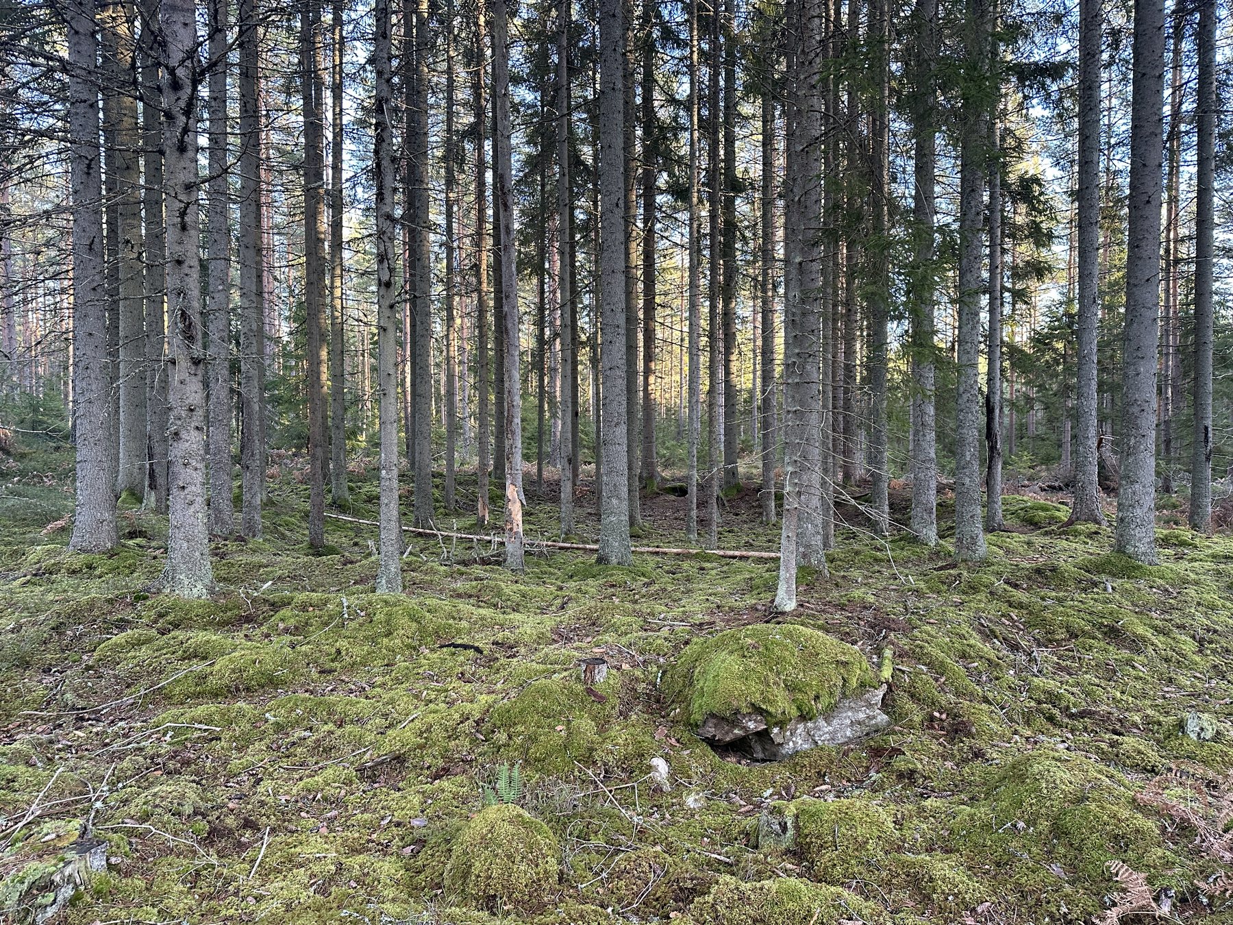 Lämning efter resmila/Kolbotten