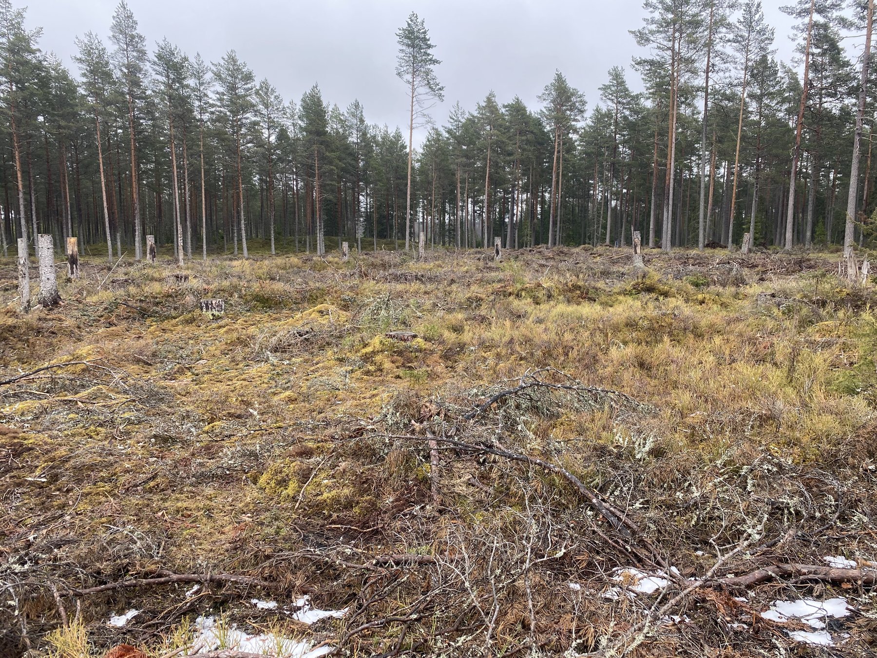Lämning efter resmila/Kolbotten