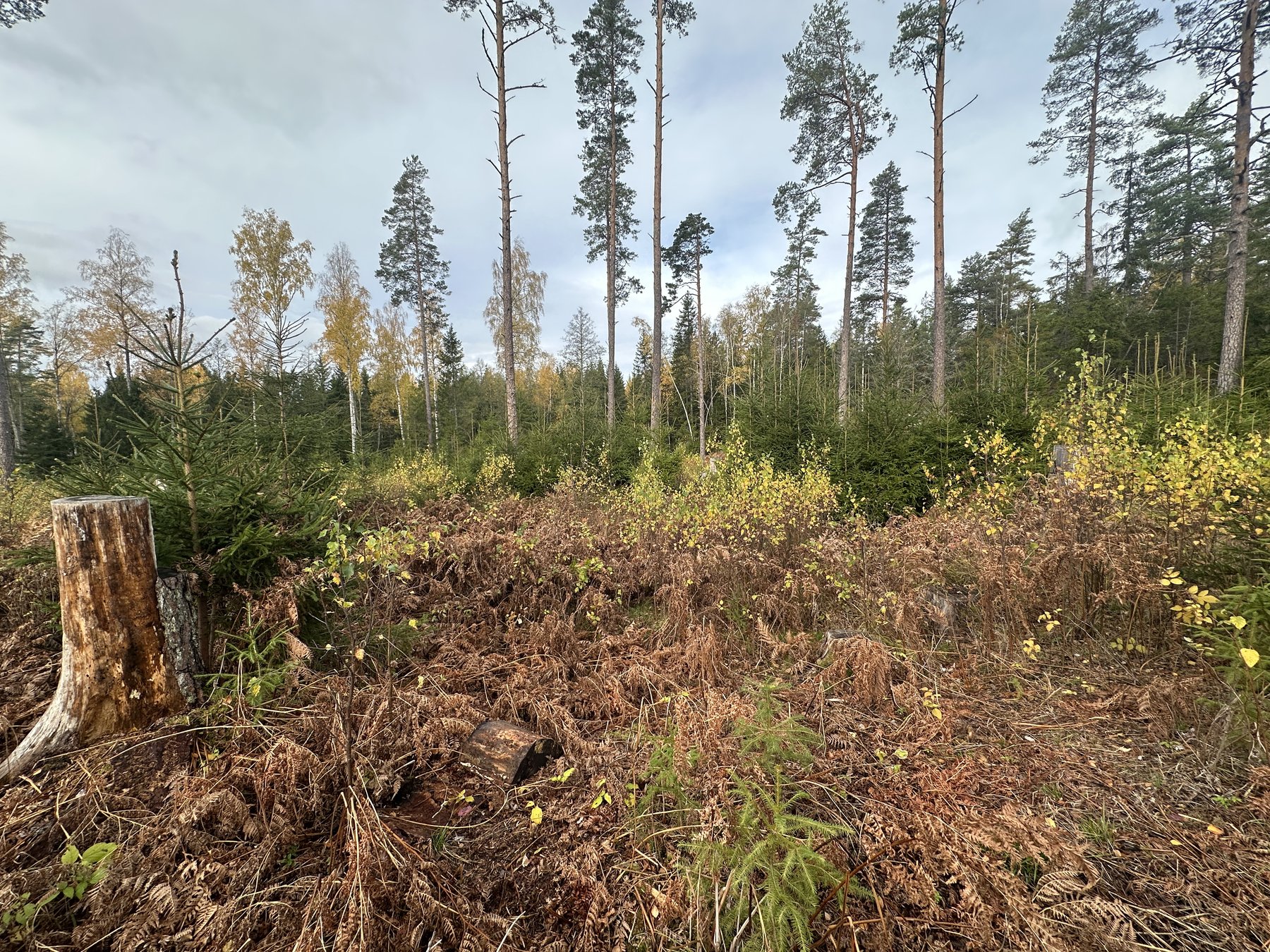 Lämning efter resmila